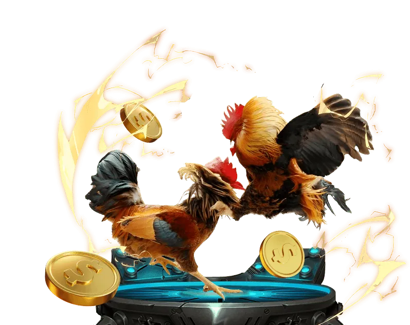 Hình ảnh minh họa các quy tắc đá gà Thomo